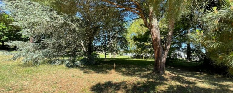 pompertuzat-parc-ggl-toulouse-7-1536x614-1.jpg