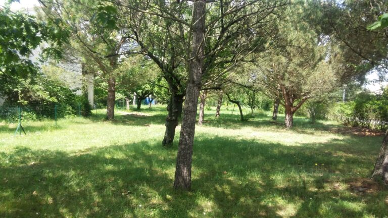 20160523154559.jpg